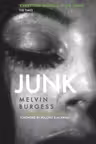 Junk (25th Anniversary Edition)