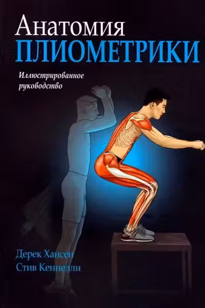 Анатомия плиометрики