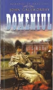 Romanul de dragoste. Domeniul