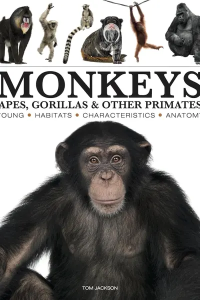 Monkeys