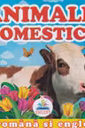 Primele notiuni Animale domestice