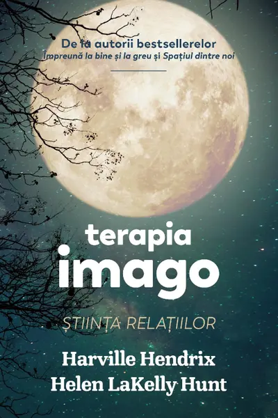 Terapia imago