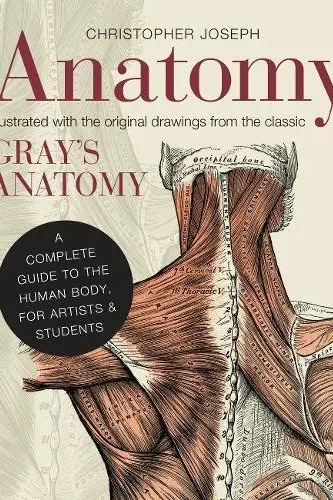 Anatomy