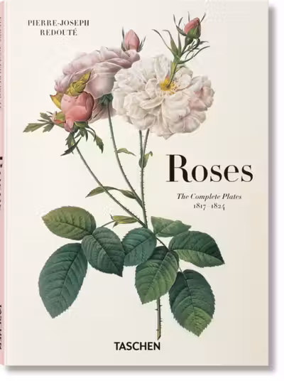Redoute. Roses