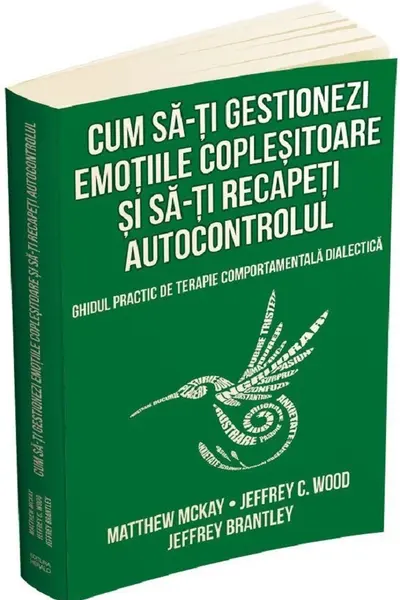 Cum sa-ti gestionezi emotiile coplesitoare si sa-ti recapeti autocontrolul