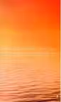 WIDE SARGASSO SEA