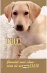 Dulci. Jurnalul unui caine scris de un Puric Dan.