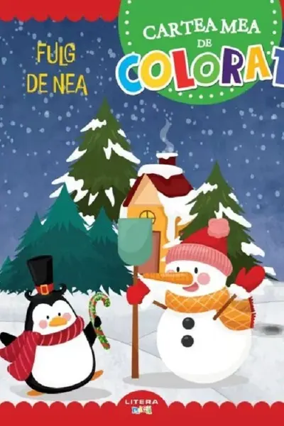 CARTEA MEA DE PICTAT. FULG DE NEA