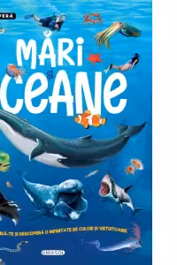 Mari si oceane
