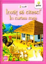 In curtea mea