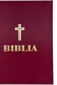 Biblia ortodoxa - handmade - IBT - format mare A4