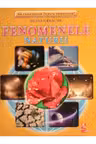 Fenomenele naturii fise
