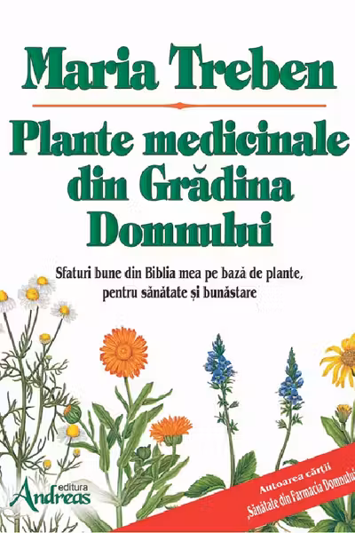 Plante medicinale din Gradina Domnului