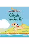 Cainele si umbra lui