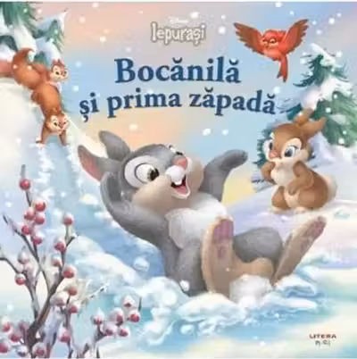 Bocanila si prima zapada