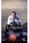 Litigiul