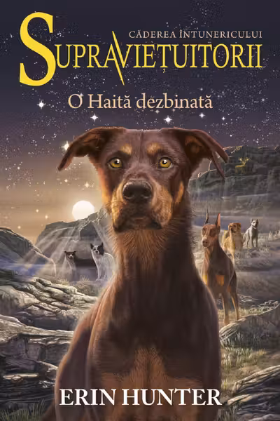 O Haita dezbinata