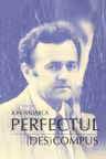 Perfectul (des)compus