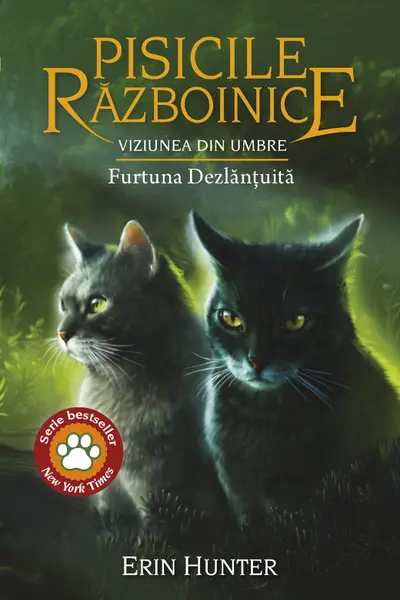 Viziunea din umbre - Furtuna Dezlantuita