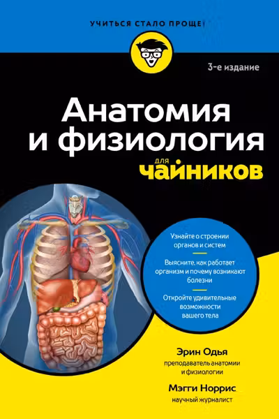 Анатомия и физиология для чайников