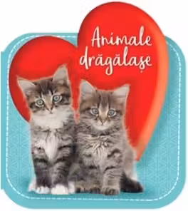 Animale dragalase - CUBERDON