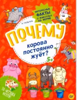 Почему корова постоянно жуёт? Интересные факты о животных на ферме