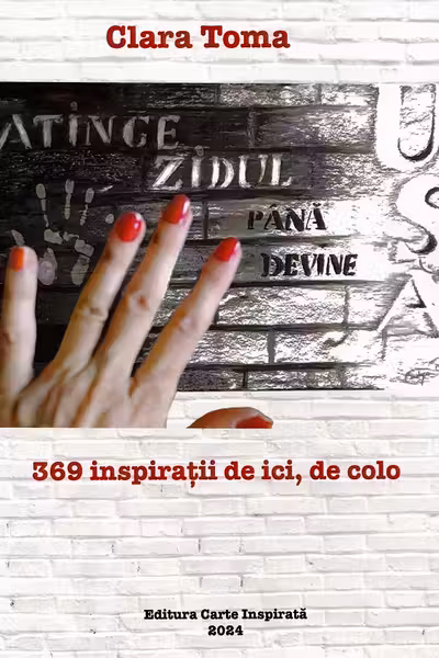 Atinge zidul pana devine usa. 369 inspiratii de ici, de colo