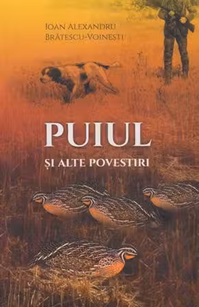 Puiul