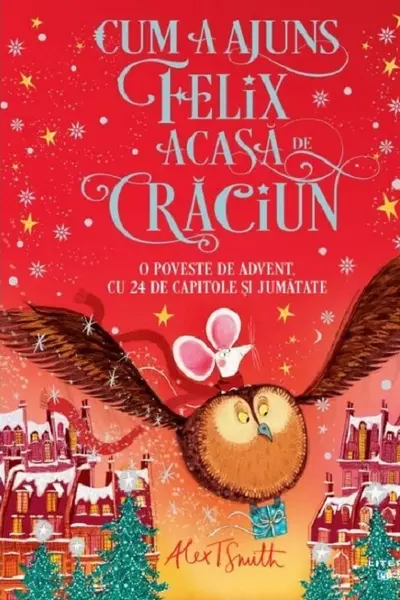 CUM A AJUNS FELIX ACASA DE CRACIUN.