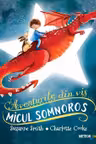 Micul somnoros. Aventurile din vis
