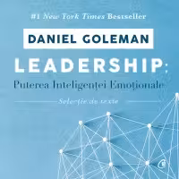 Ebook Leadership: puterea inteligenței emoționale