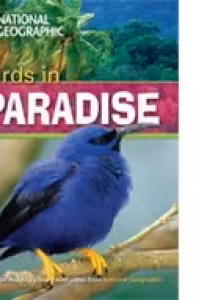 Birds In Paradise + DVD