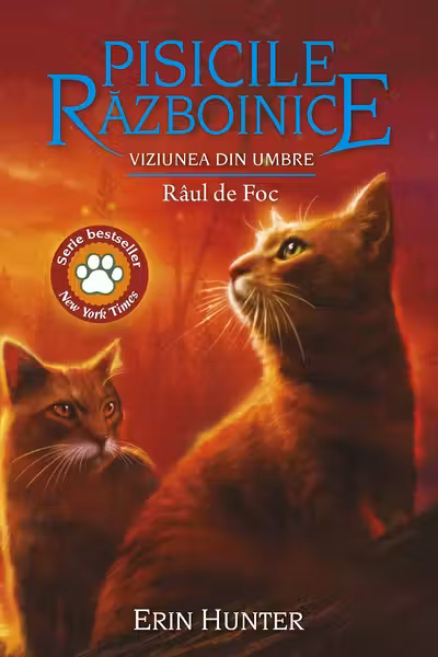 Viziunea din umbre. Raul de Foc