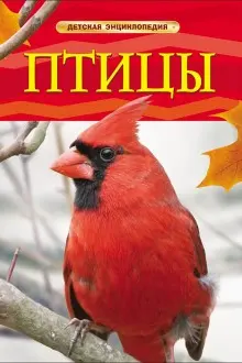 detskaya-ehnciklopediya-pticy
