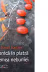 Cronica in piatra. Vremea nebuniei