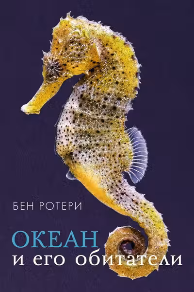 Океан и его обитатели