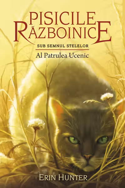 Pisicile Razboinice. Vol.19