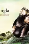 Jungla