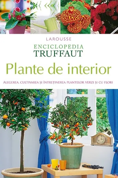 Plante de interior