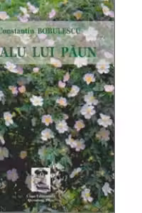 Dealu lui Paun