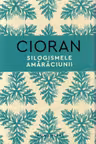 Silogismele amaraciunii