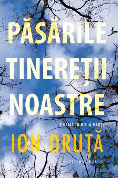 Pasarile tineretii noastre