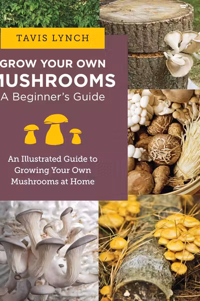 Grow Your Own Mushrooms: A Beginner's Guide