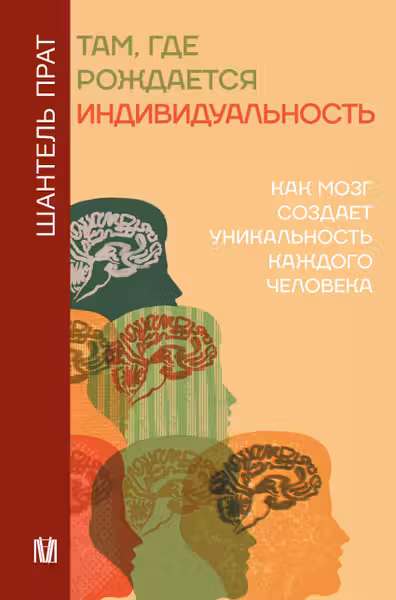 Там где рождается индивидуальность. Как мозг создает уникальность каждого человека