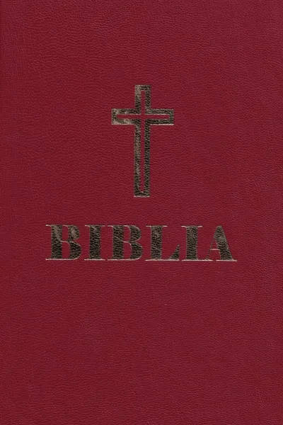 Biblia simplă grena Ed.2025