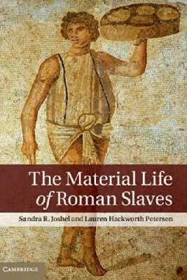 The Material Life of Roman Slaves - Sandra R. Joshel, Lauren Hackworth Petersen