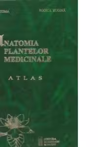 Anatomia plantelor medicinale - Atlas