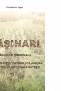 Rasinari - Padurile comunale. Implicatiile exploatarii lor asupra civilizatiei traditionale satesti