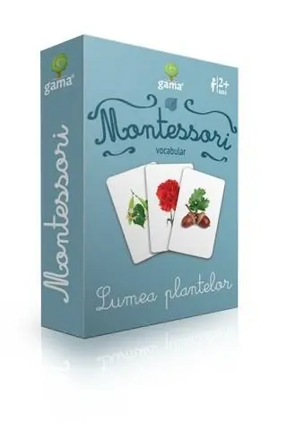 Vocabular. Lumea plantelor