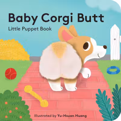 Baby Corgi Butt